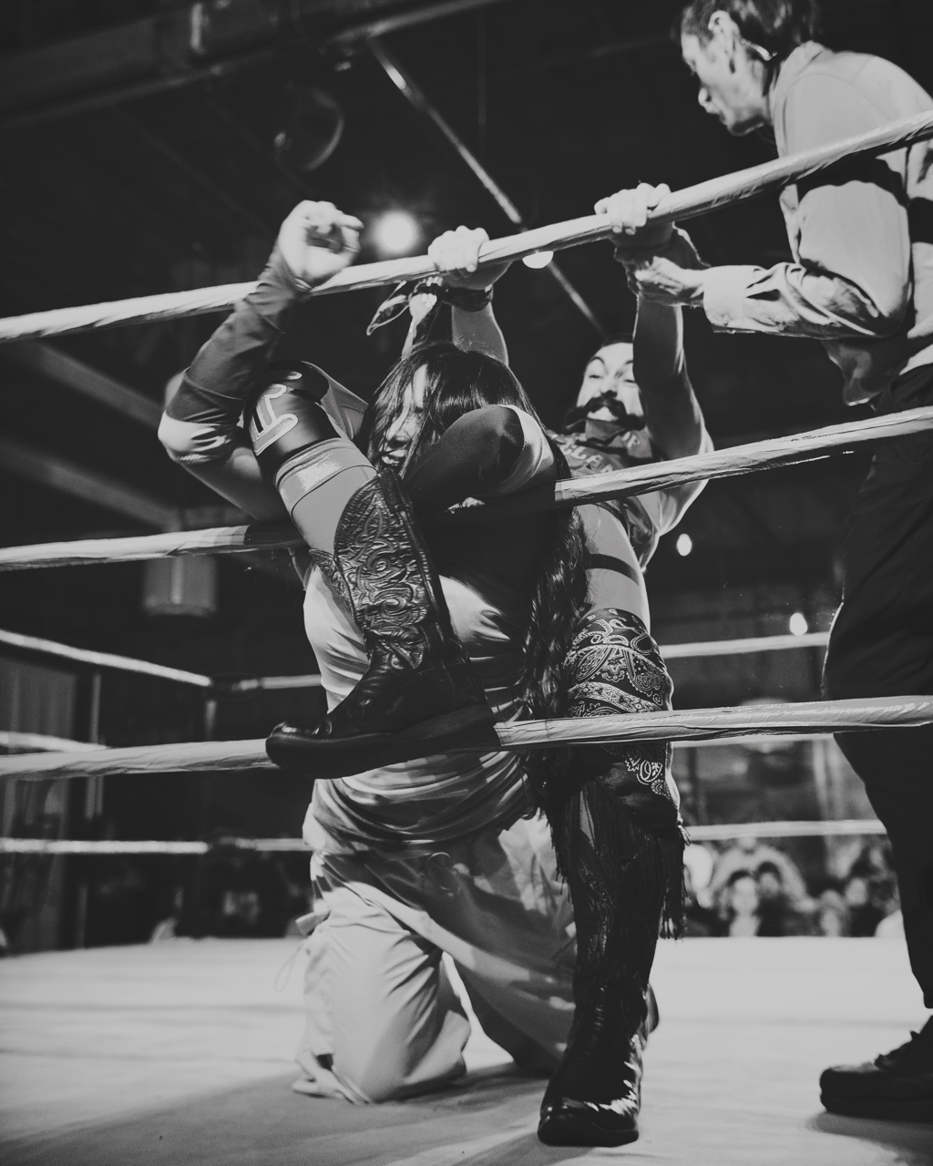 IMG_2555 Edited Large.png