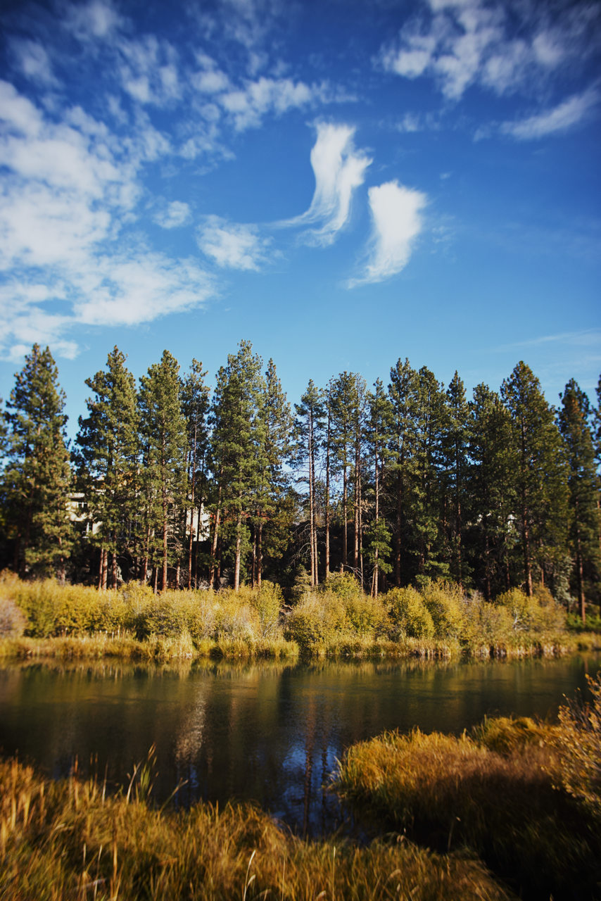 IMG_8617 7 Edited Large.png