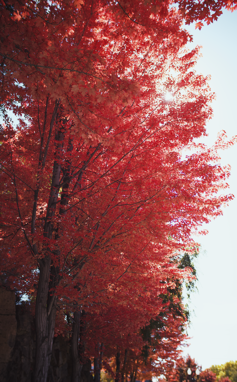 IMG_8538 3 Edited Large.png