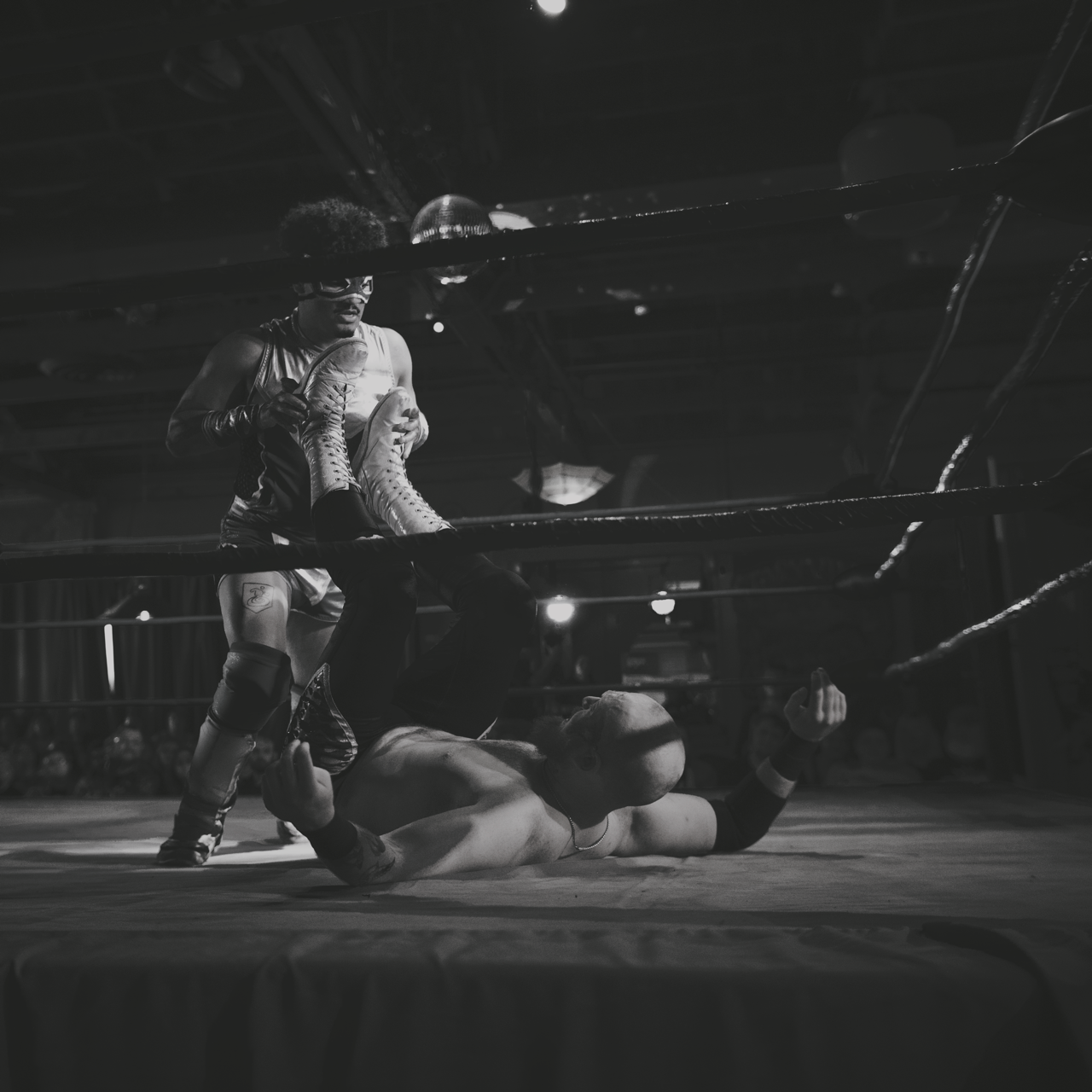 IMG_7337 9 Edited Large.png