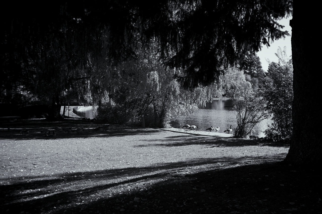 IMG_8718 11 Edited Large.png