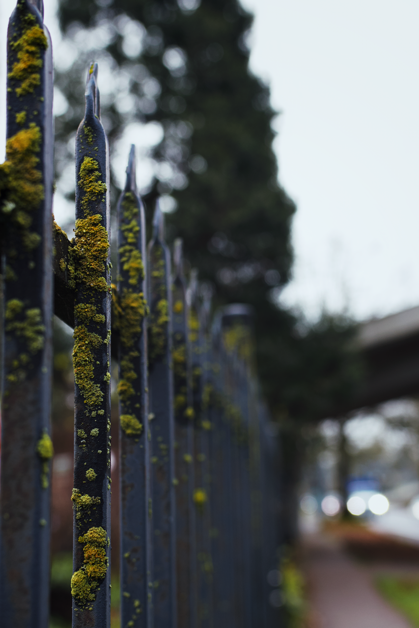 IMG_0344 Edited Large.png