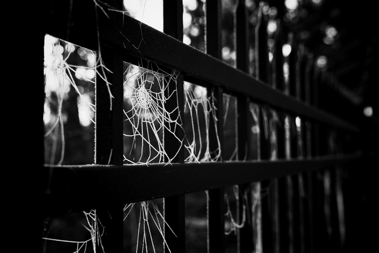 IMG_0927 Edited Large.png