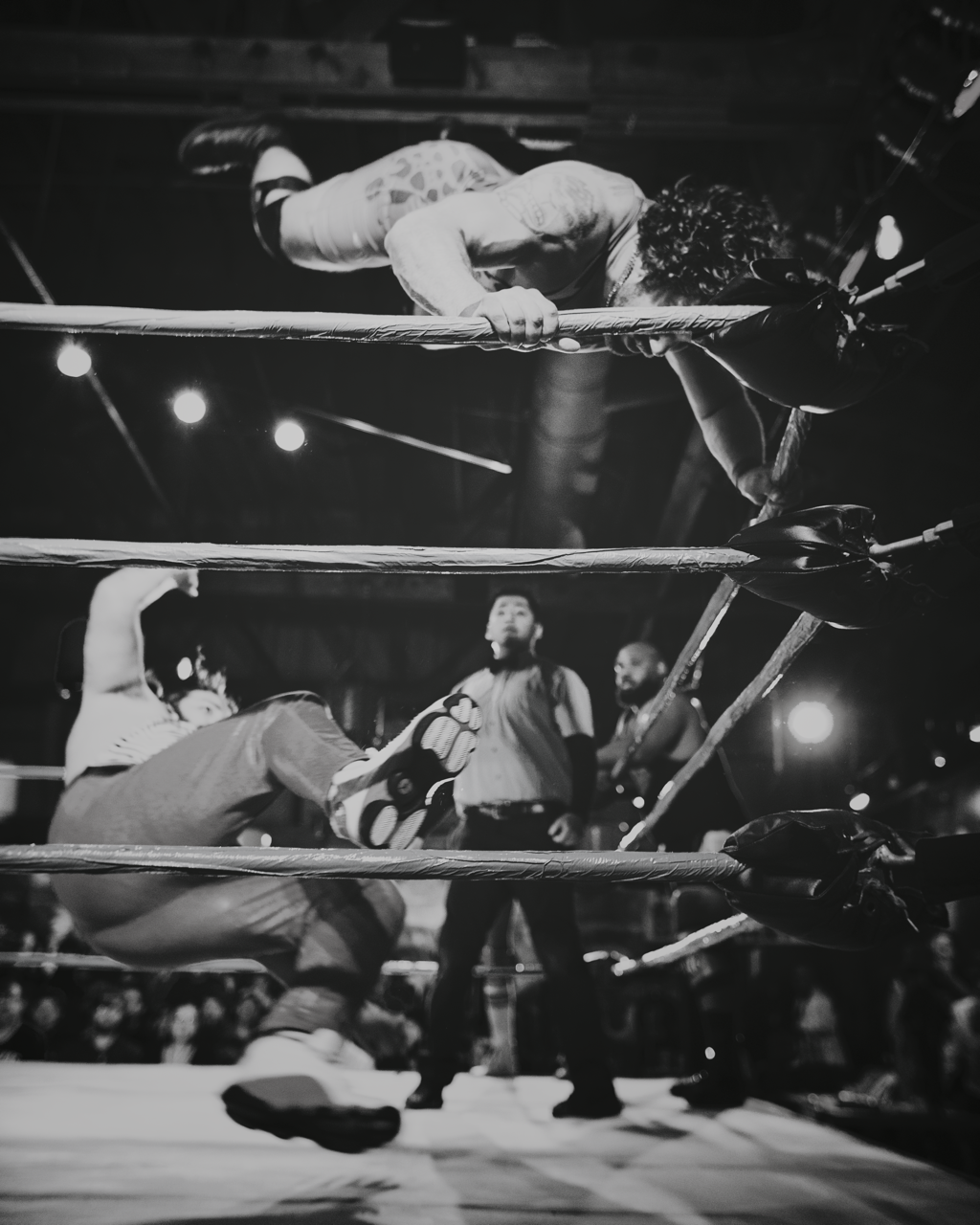 IMG_3018 Edited Large.png