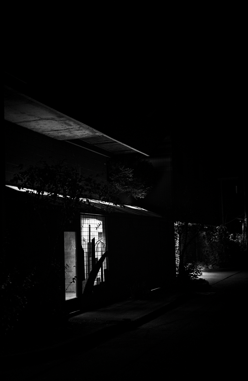 IMG_0880 Edited Large.png