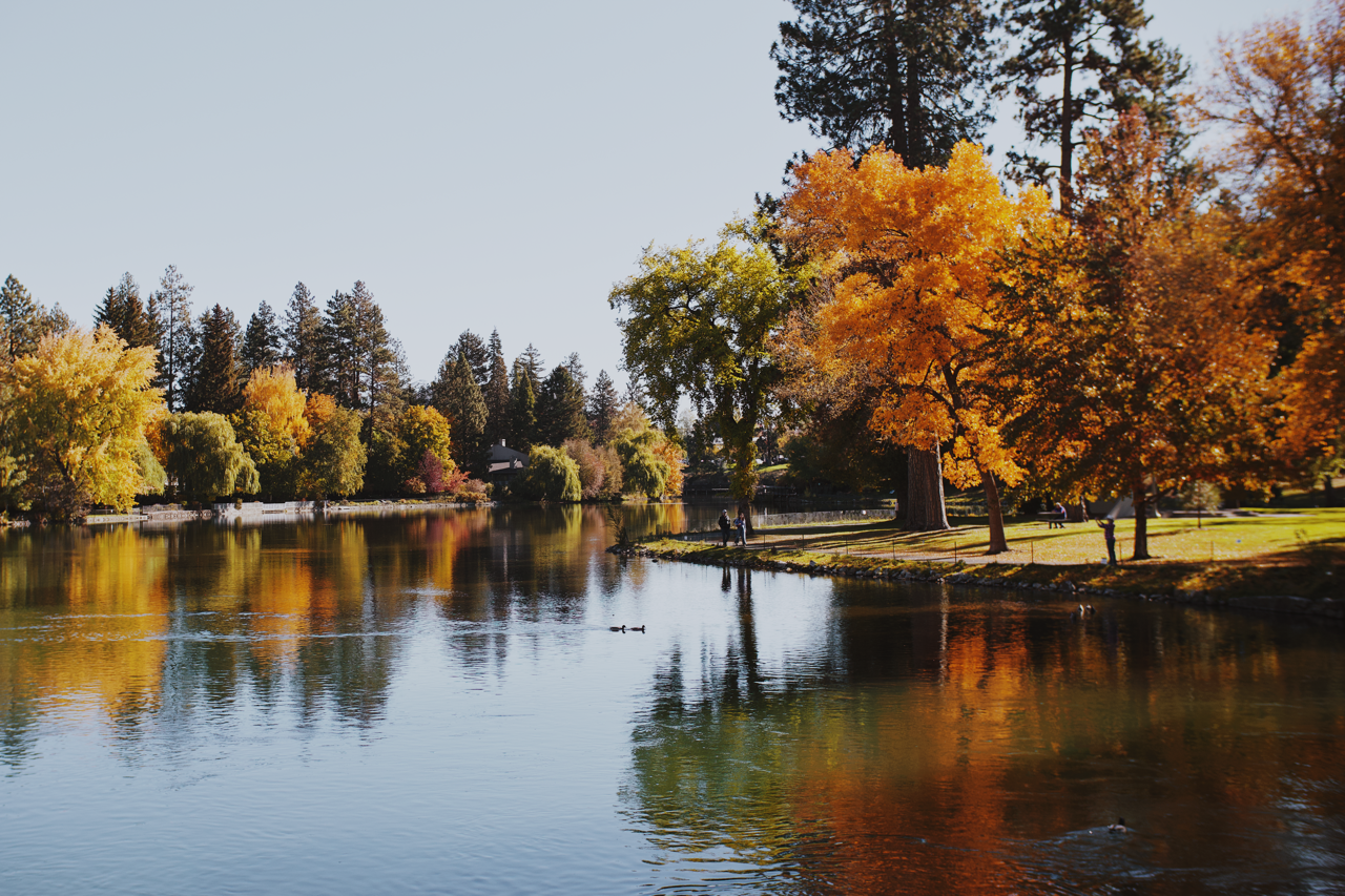 IMG_8715 Edited Large.png