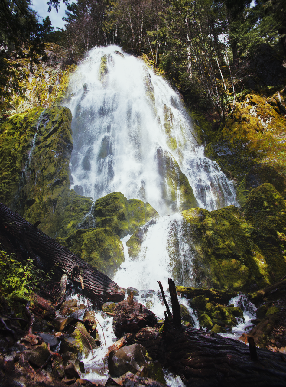 IMG_6460%20Edited Edited Large.png