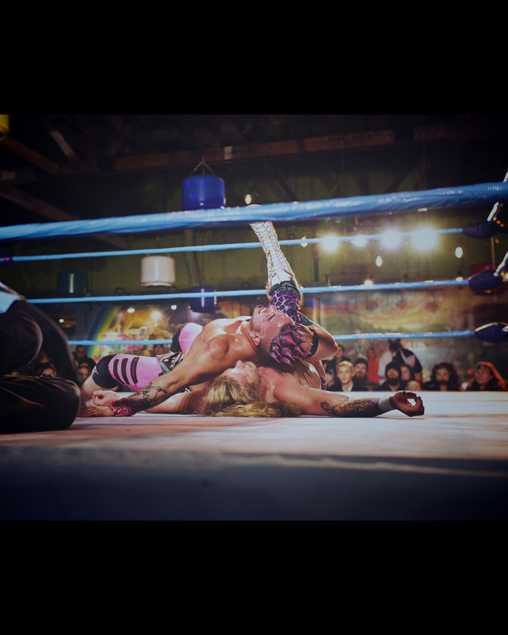 IMG_5906 Edited Large.png