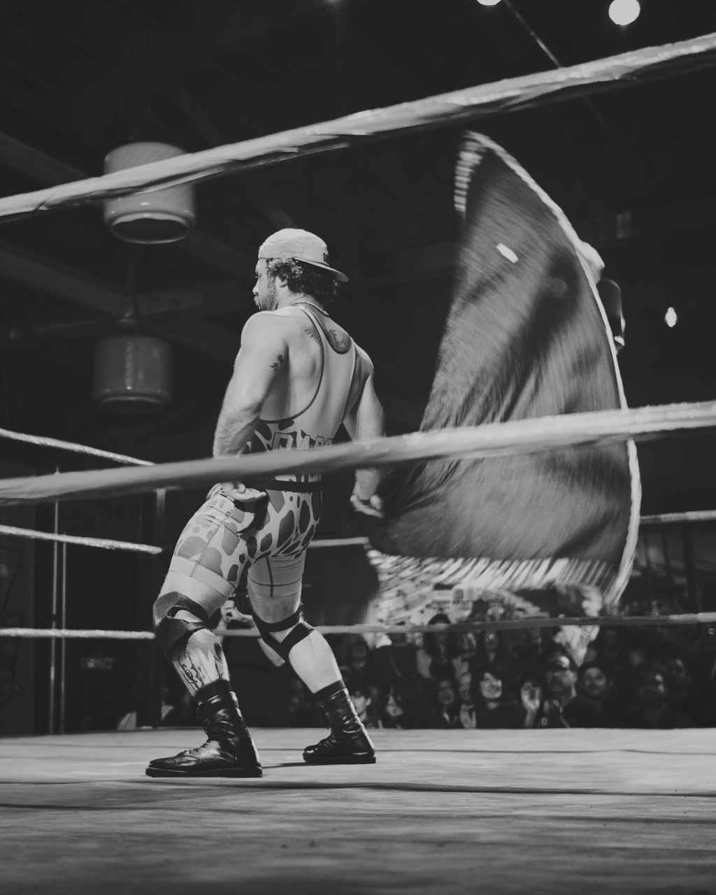 IMG_2730 Edited Large.png