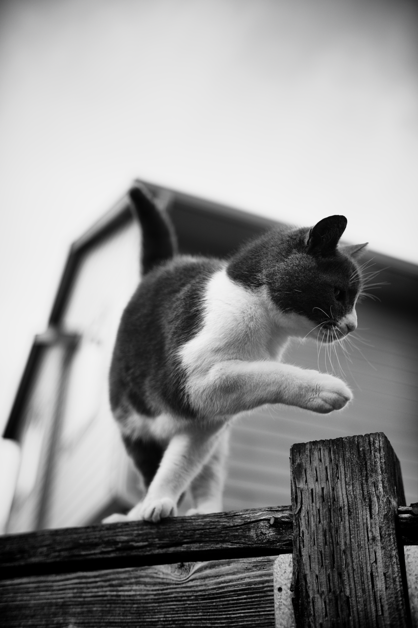 IMG_0618 Edited Large.png