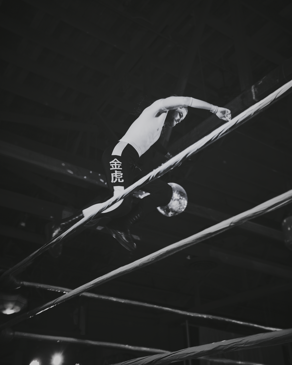 IMG_2250 Edited Large.png