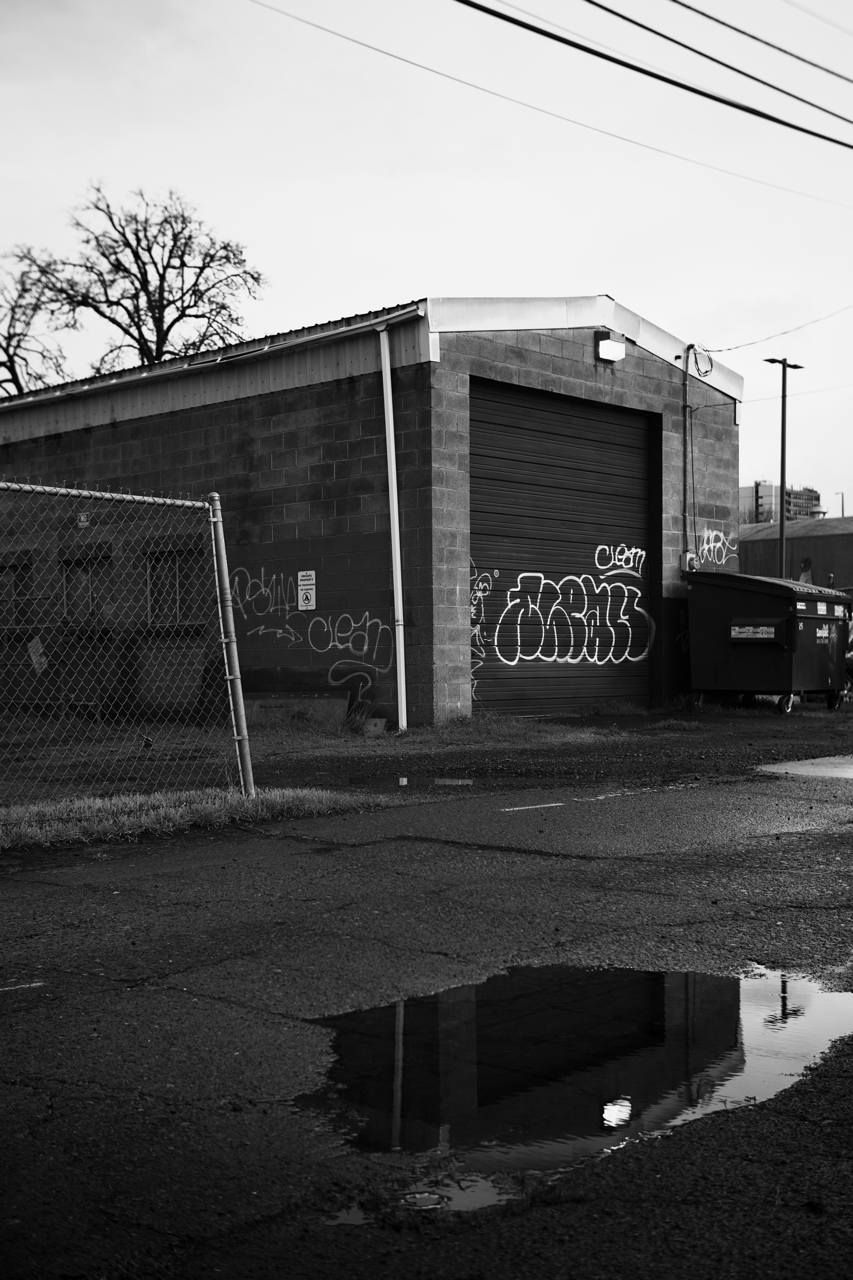 IMG_0260 Edited Large.png