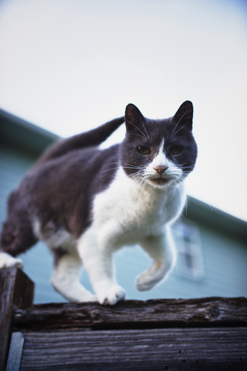 IMG_0620 Edited Large.png