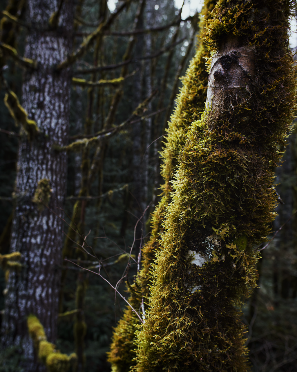 IMG_6381 Edited Large.png