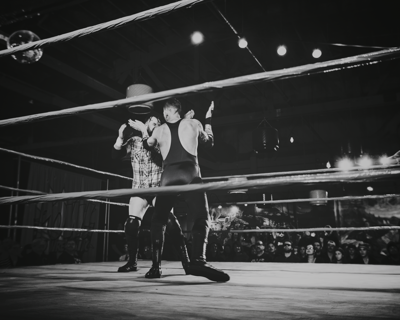 IMG_4566 Edited Large.png