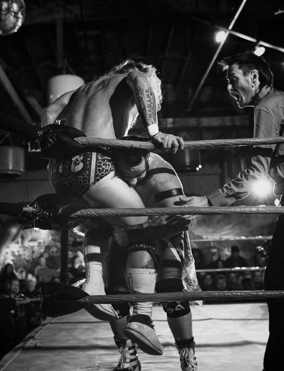 IMG_2010 Edited Large.png