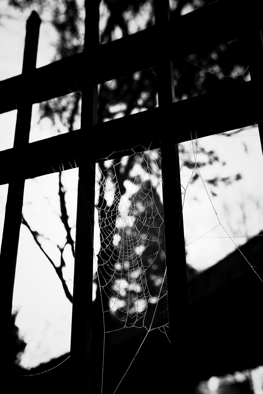 IMG_0936 Edited Large.png