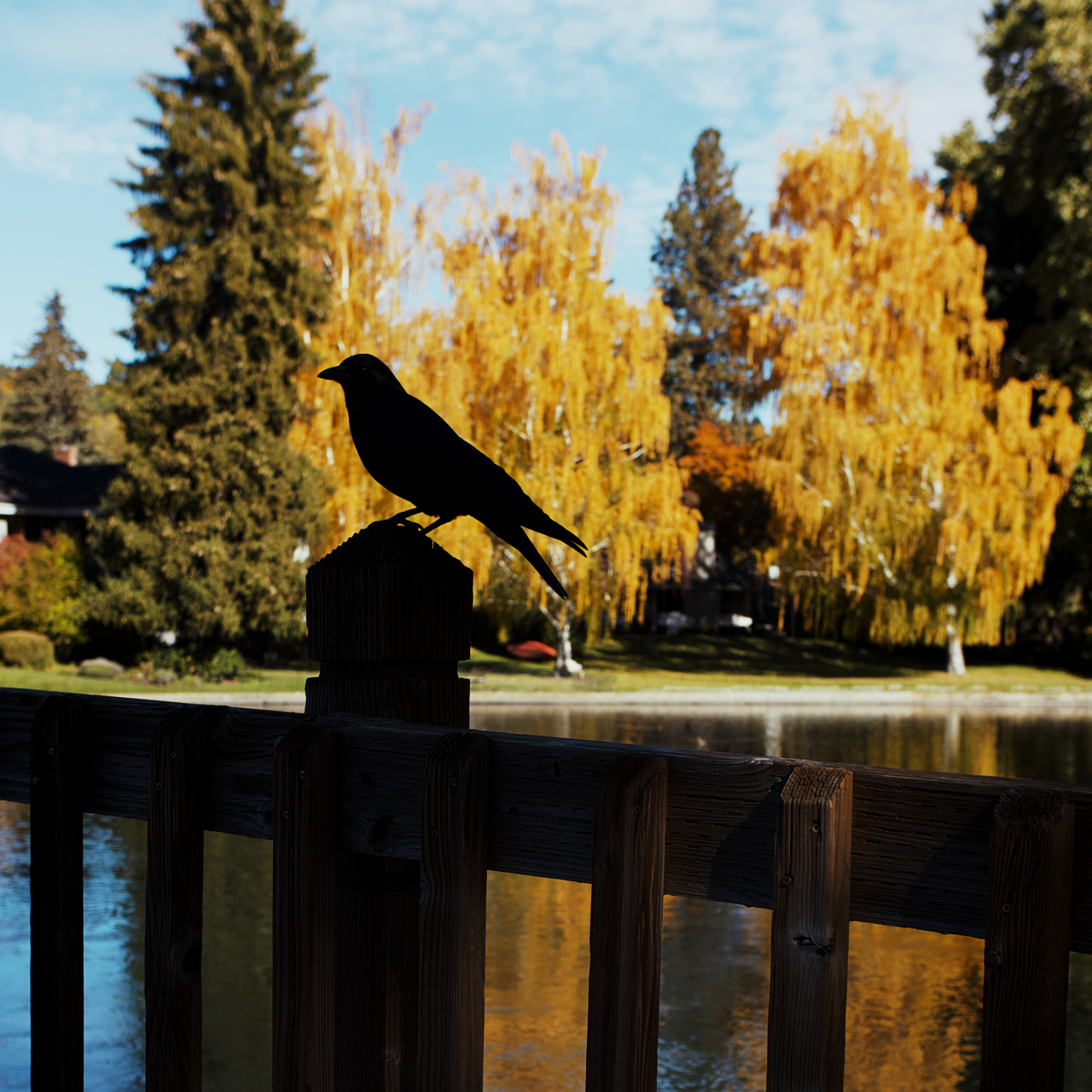 IMG_8708 9 Edited Large.png