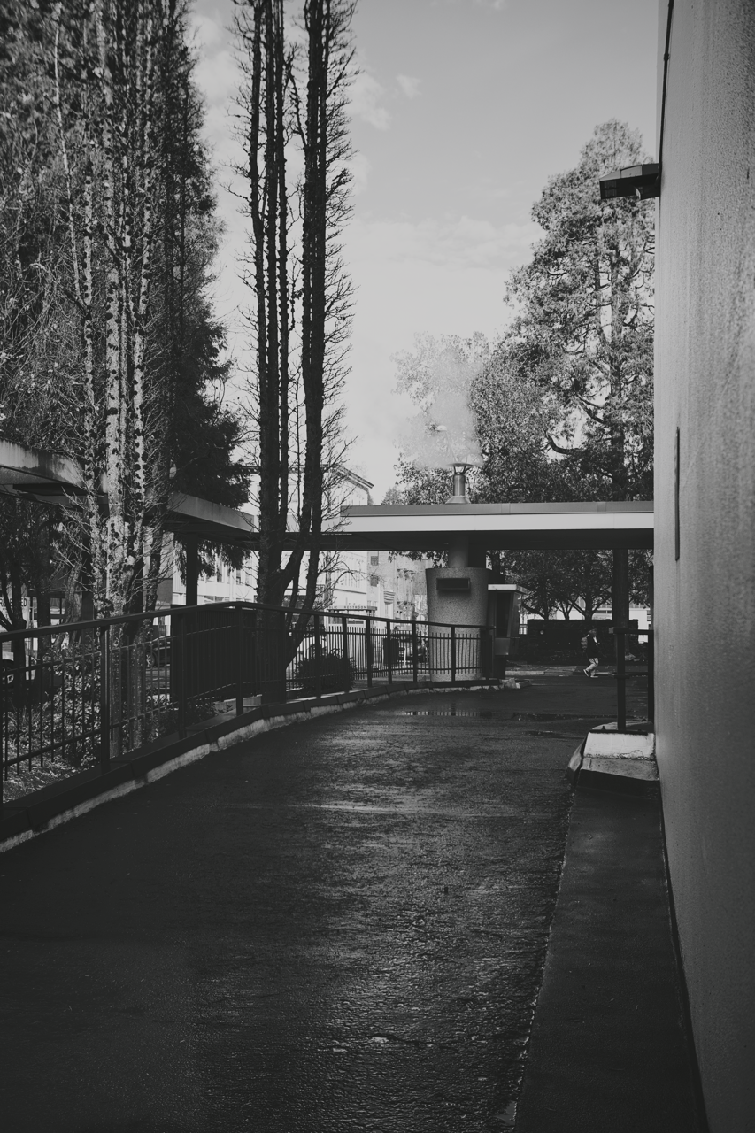 IMG_0211 Edited Large.png