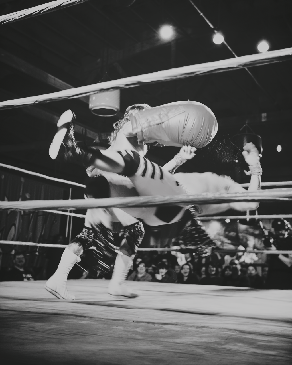 IMG_5933 Edited Large.png