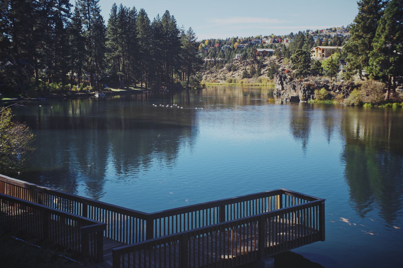 IMG_8532 Edited Large.png