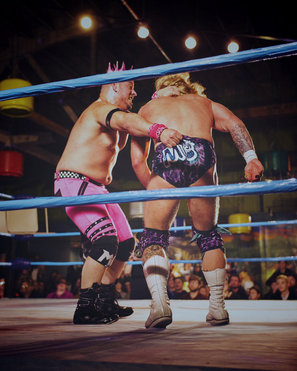 IMG_5884 Edited Large.png