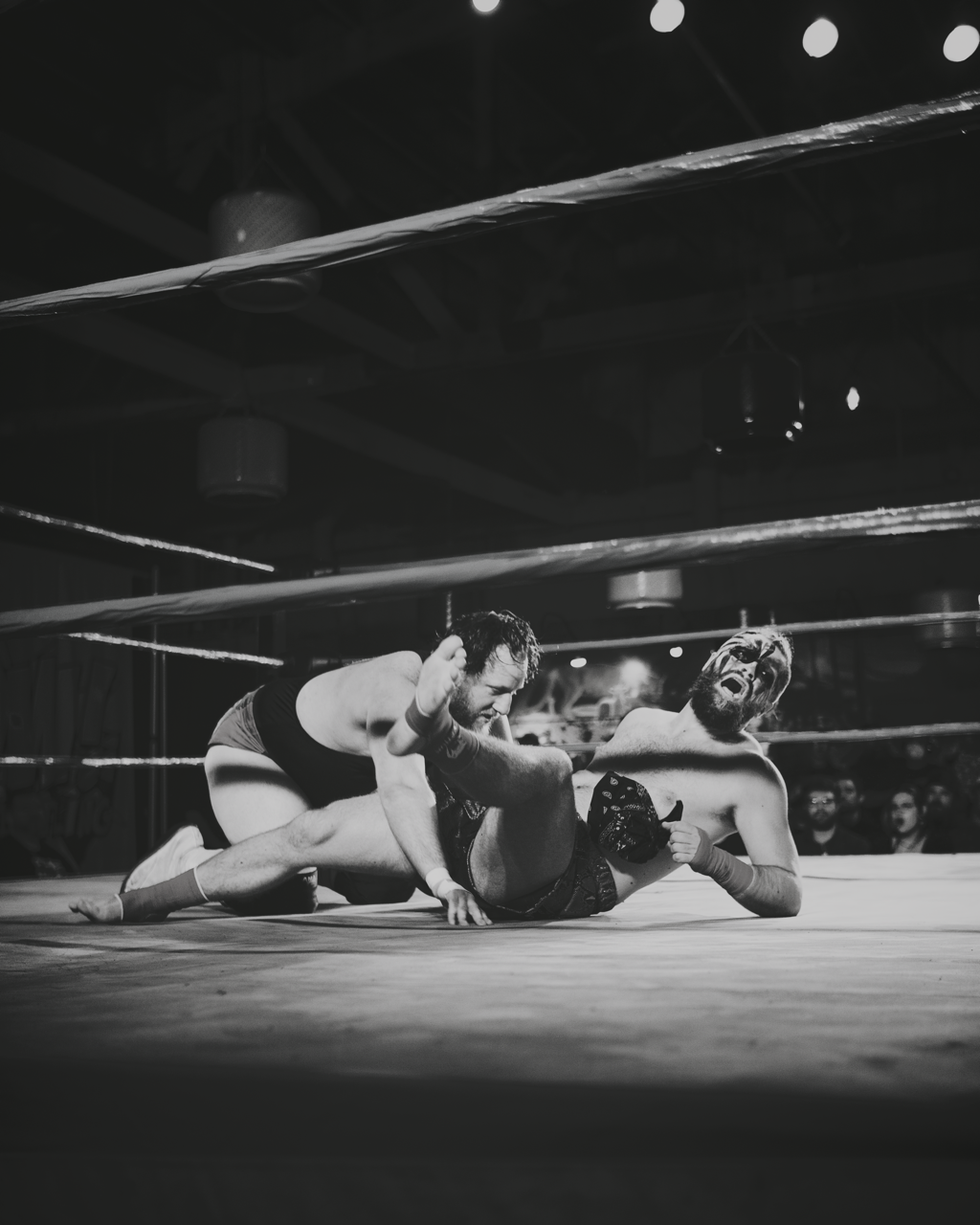 IMG_3811 Edited Large.png