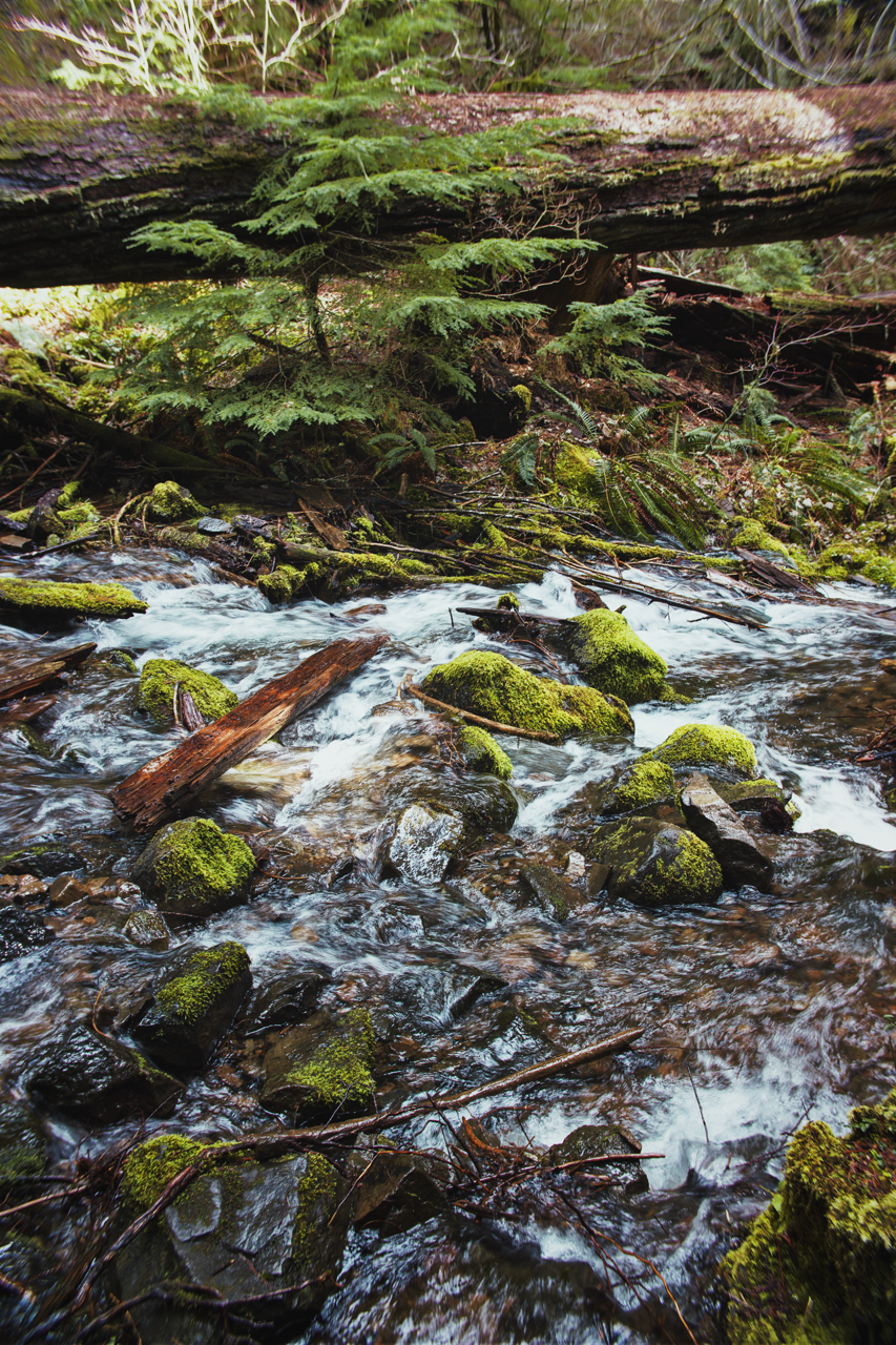 IMG_6526%20Edited Edited Large.png