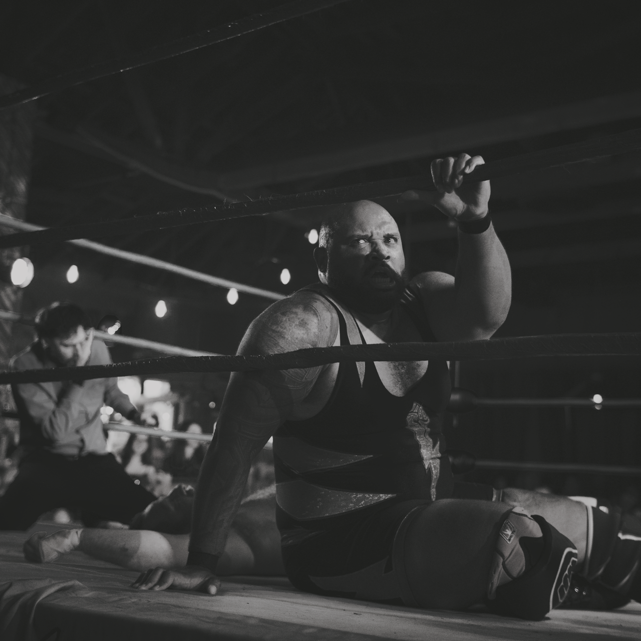 IMG_7438 16 Edited Large.png