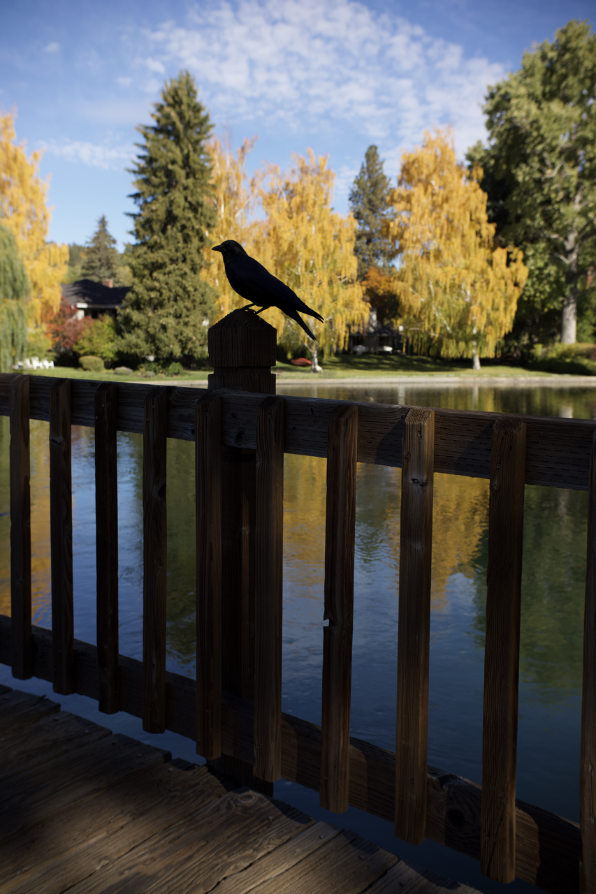 IMG_8708 Edited Large.png