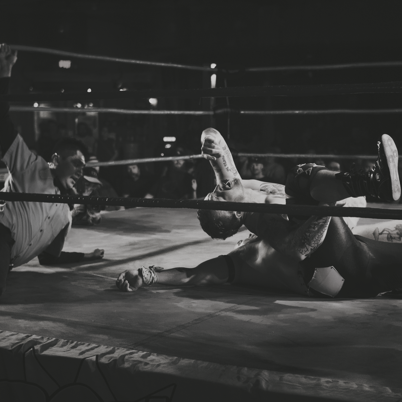 IMG_8437 10 Edited Large.png