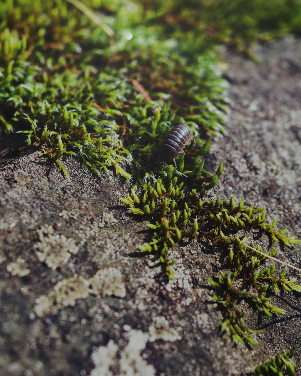 IMG_6390 Edited Large.png