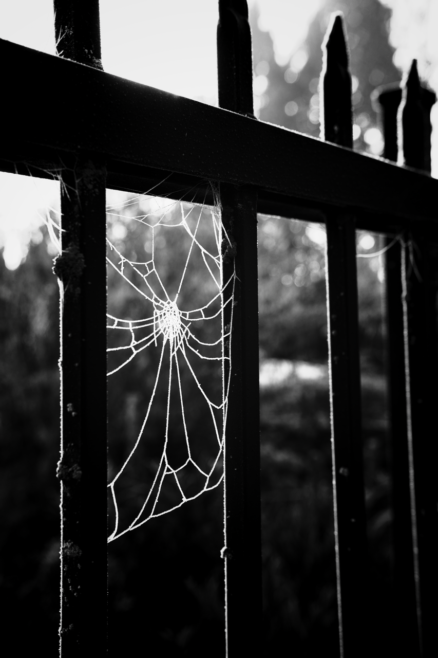 IMG_0924 Edited Large.png