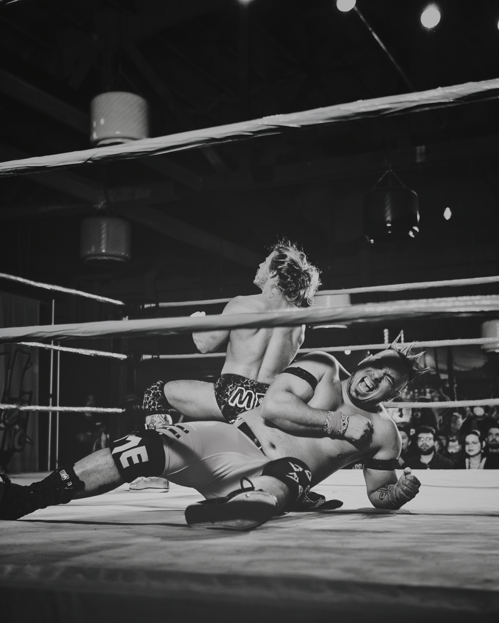 IMG_5786 Edited Large.png