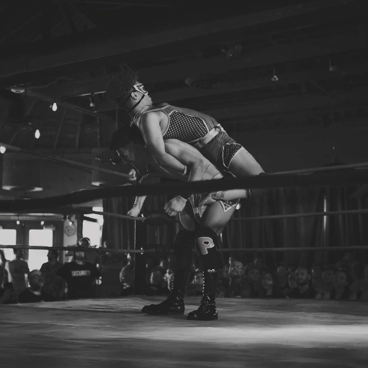 IMG_7354 12 Edited Large.png