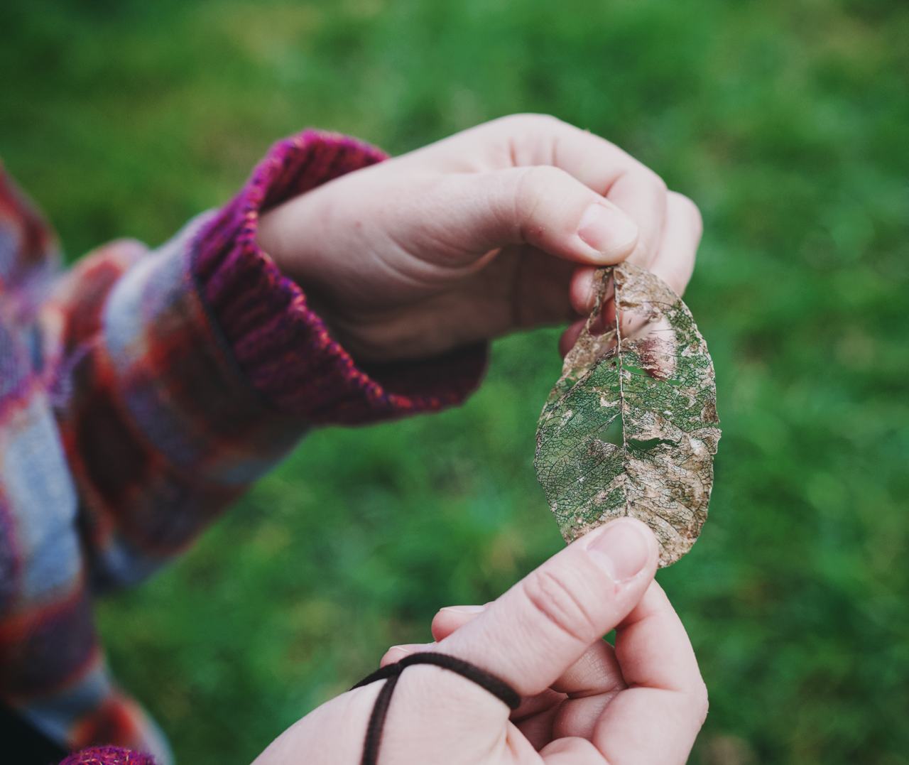 IMG_2067 Edited Large.png