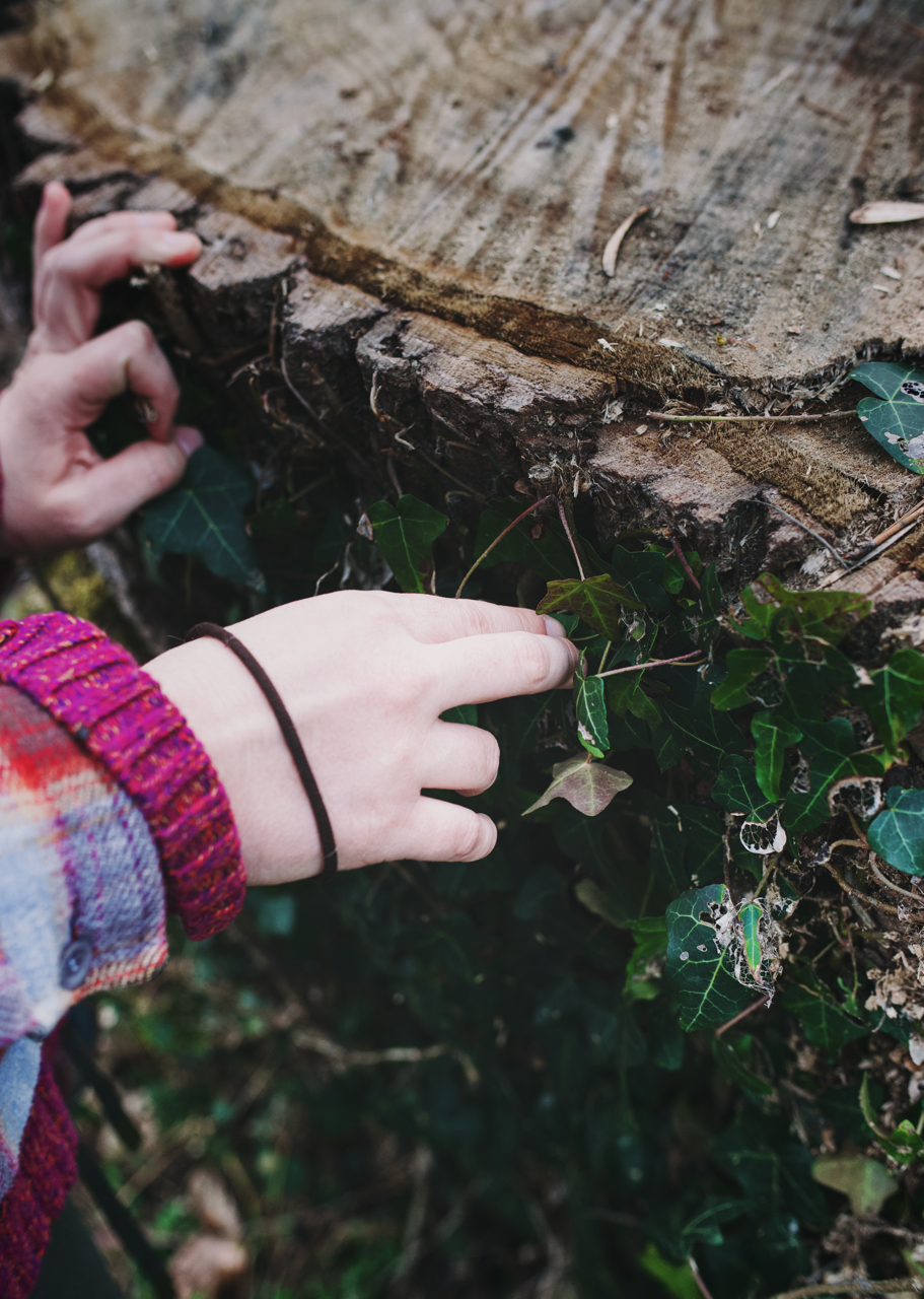 IMG_2060 Edited Large.png