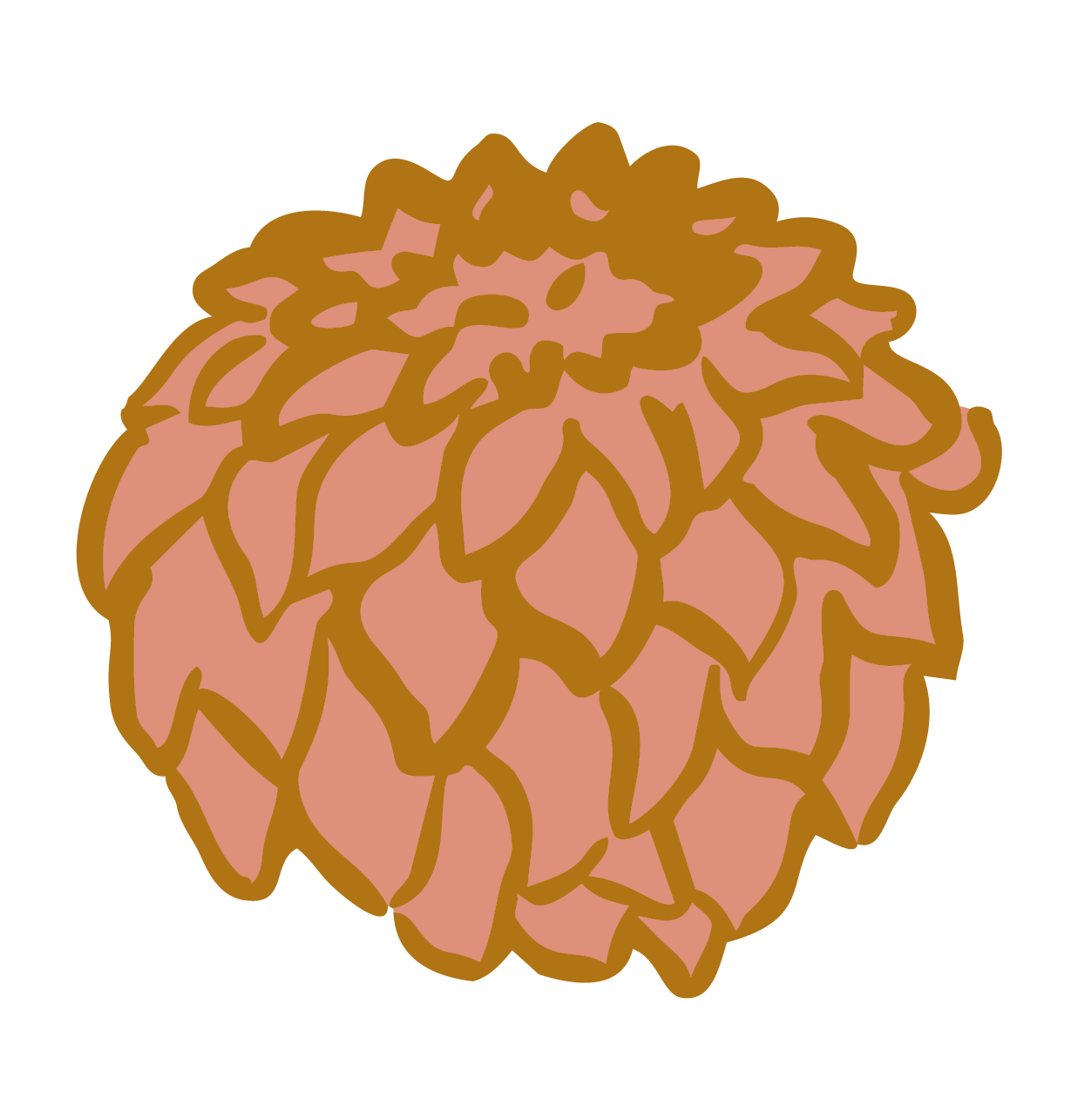 Illustration of a hop cone with detailed outlines of the petals and leaves, colored in shades of brown and pinkish-beige.