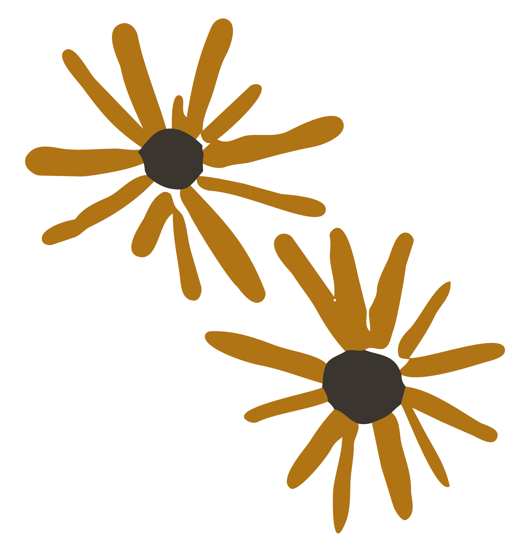 Drawing of two brown and black abstract flowers with elongated petals on a black background.