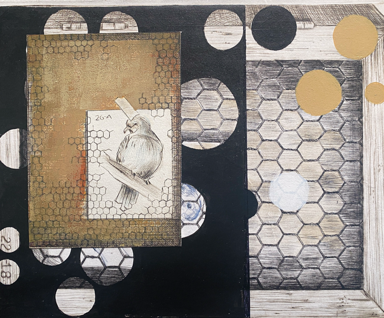 LA JAULA Y EL PAJARO