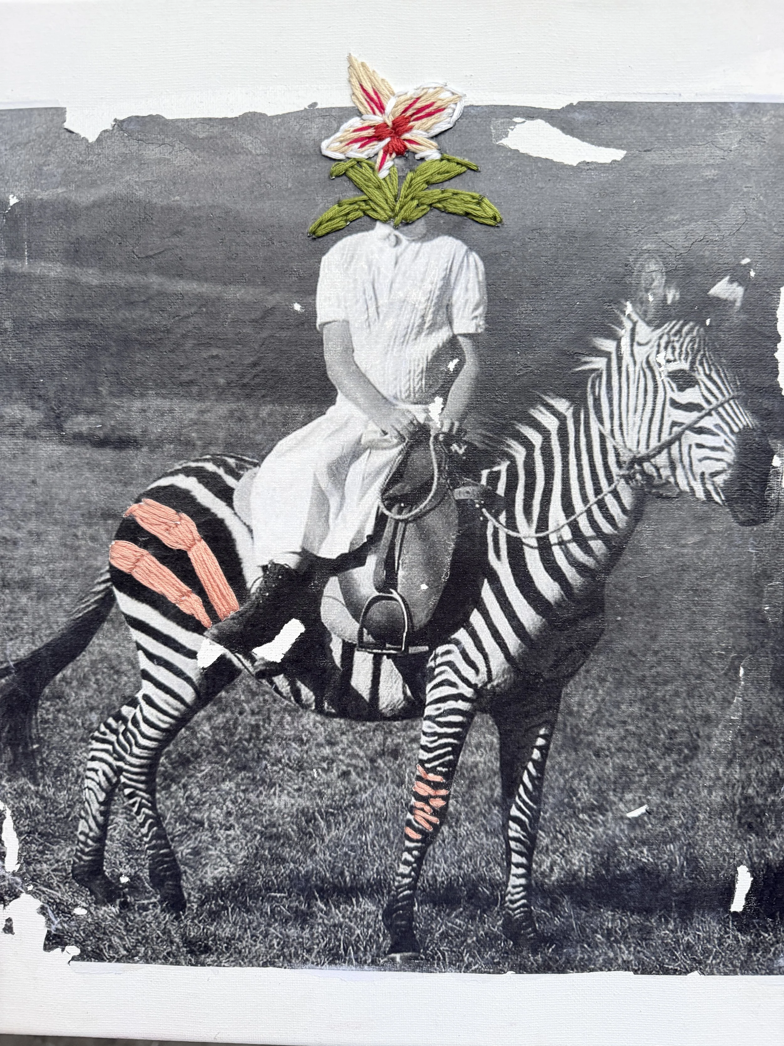 pinkstripes-1.JPG