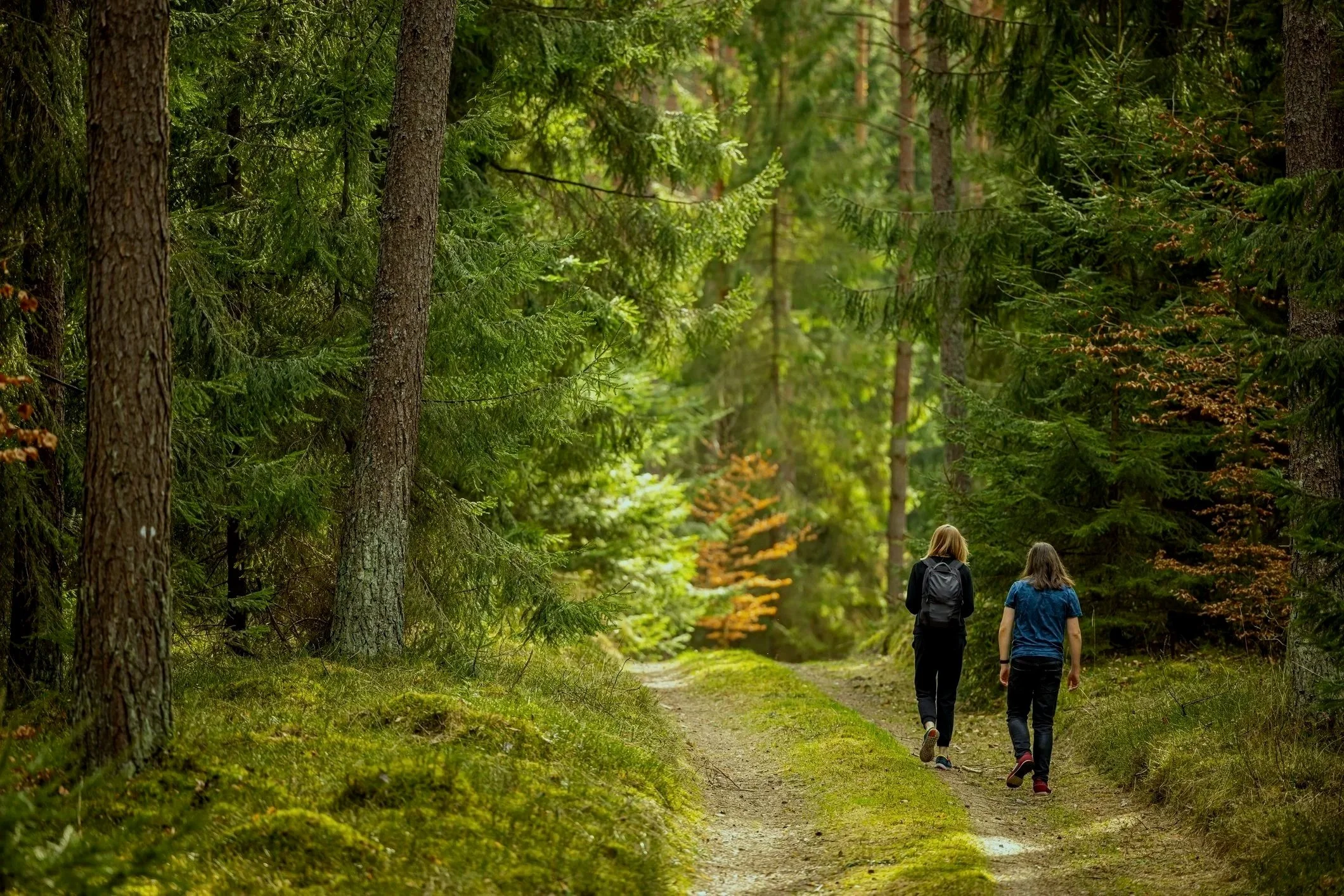 Two people hiking on a narrow trail through a lush, green forest with tall trees and dense foliage.