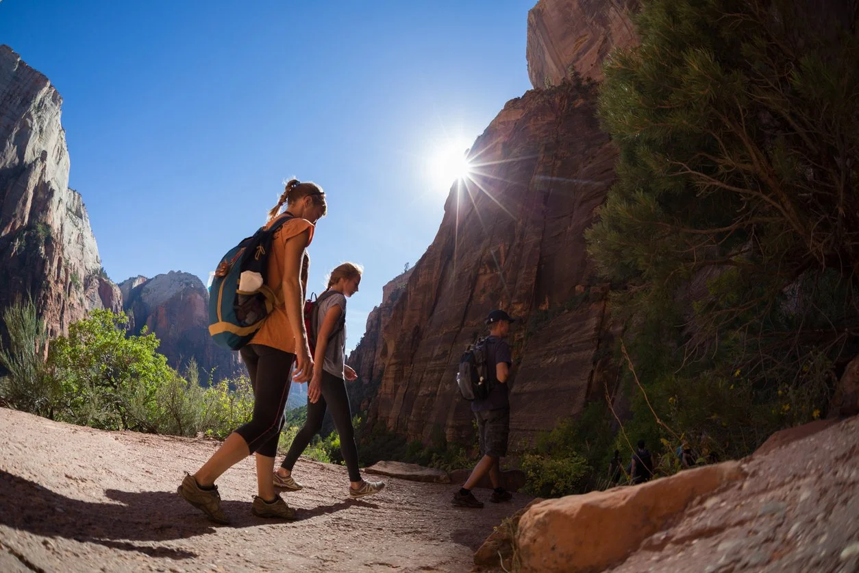 Four hikers walking along a trail in a canyon with red rock cliffs and green vegetation, under a clear blue sky with the sun shining.