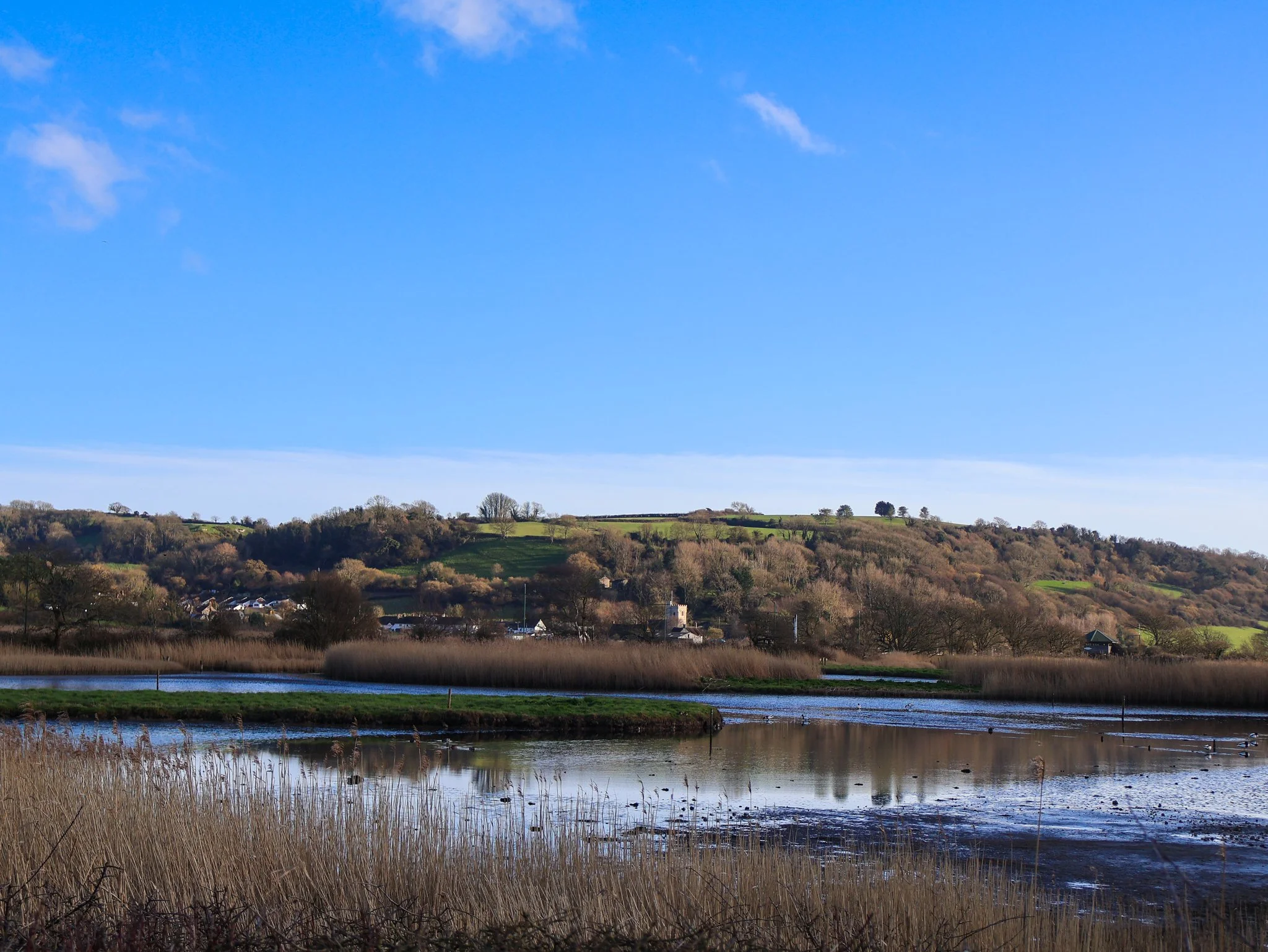 Scenic landscape of a pond with ducks, grassy areas, trees, and a hillside with houses and a church under a blue sky with a few clouds.