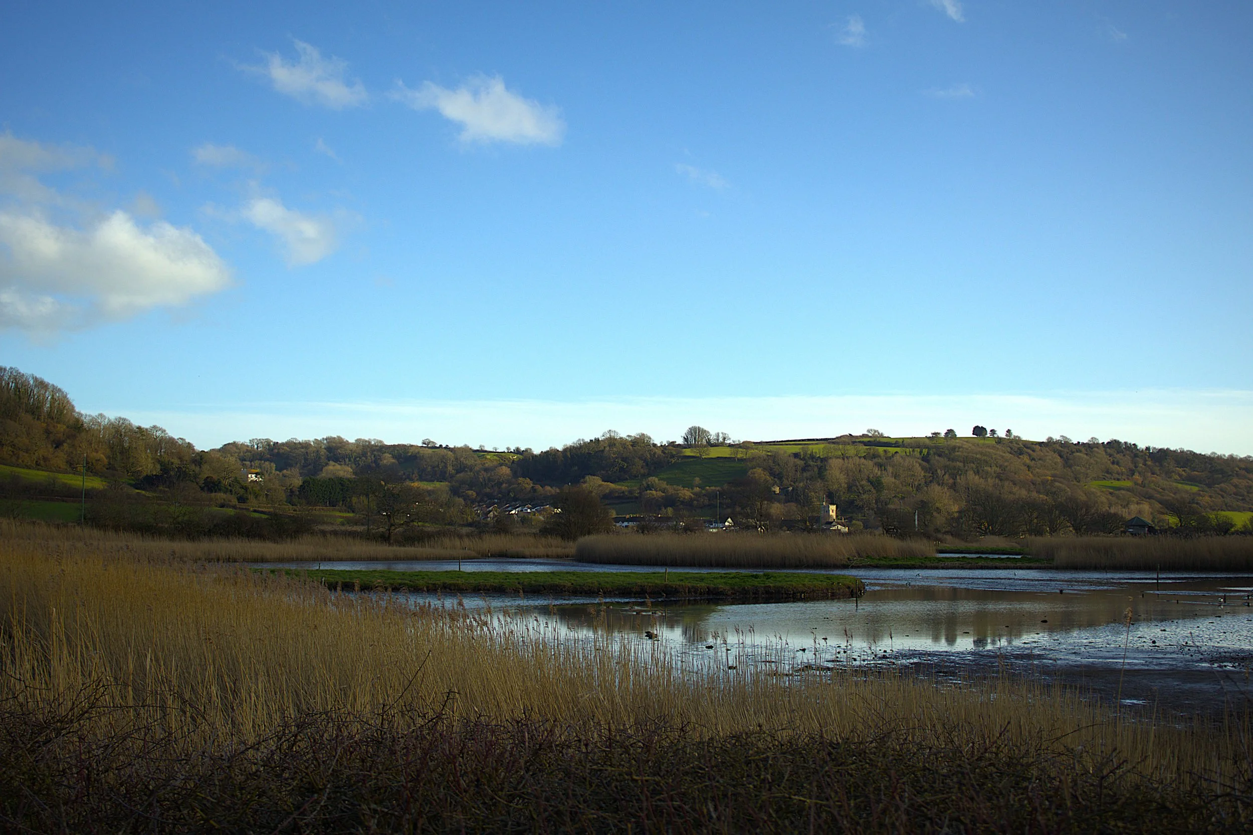 A scenic landscape with water, grassy reeds, hills in the distance, and a blue sky with some clouds.