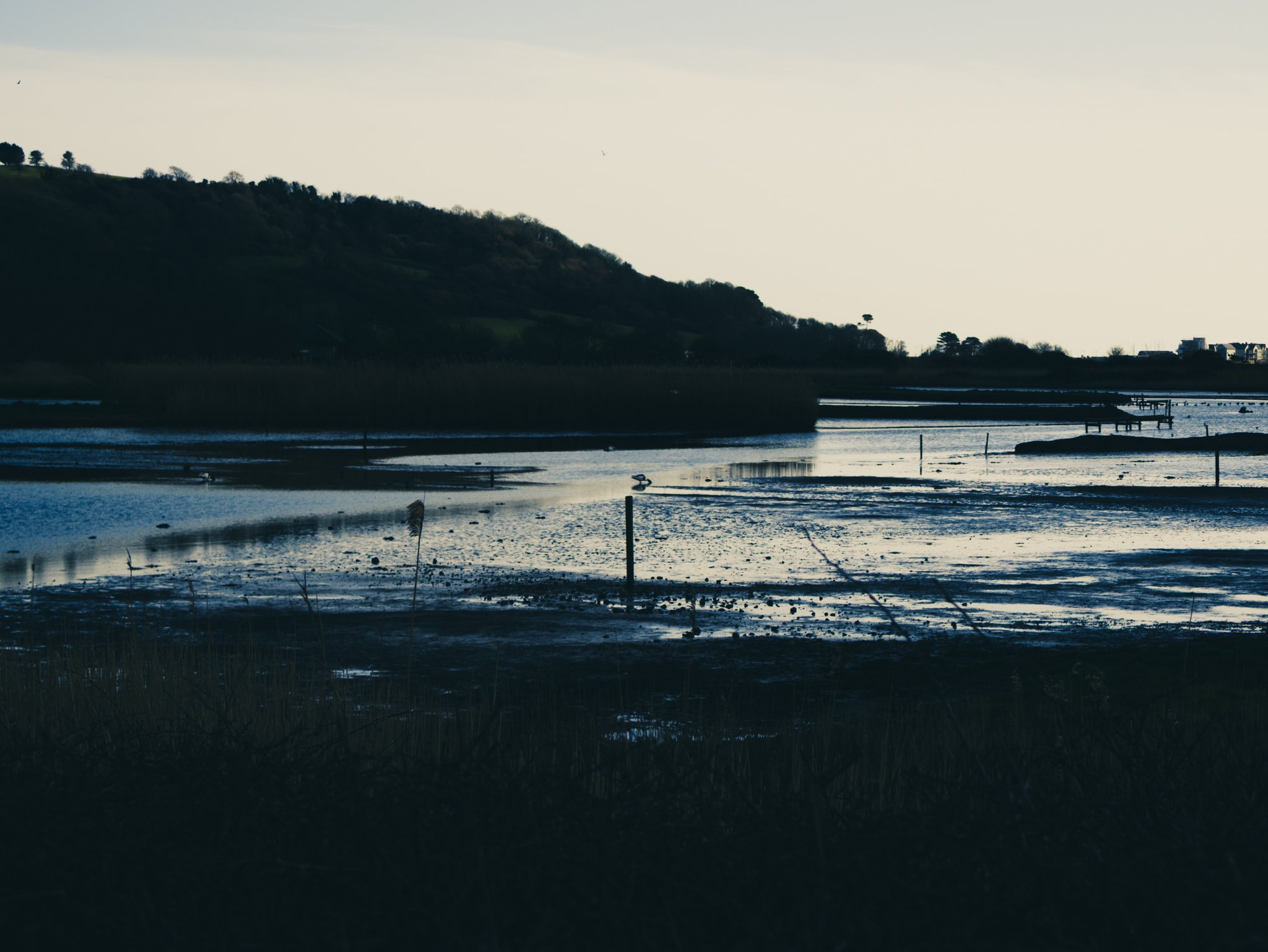 A tranquil marshland scene during low tide with dark water and mud flats, with a hill in the background and a few buildings visible in the distance. The sky is overcast, creating a muted atmosphere.