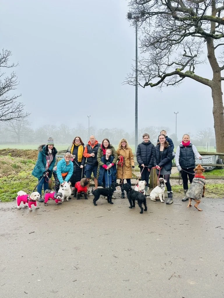Outdoor fitness in Cranleigh. Group of people with multiple dogs in a park on a foggy day.