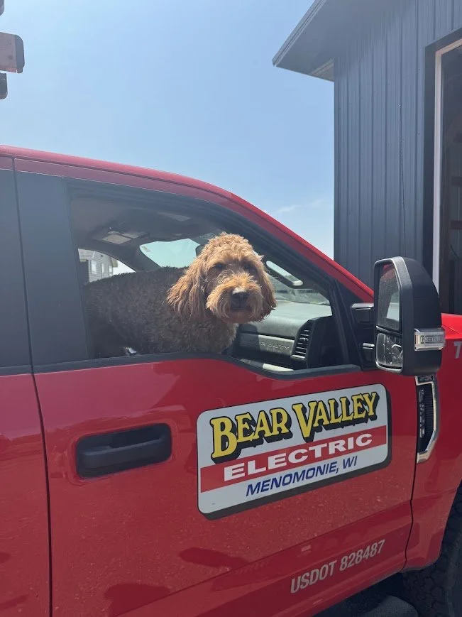sparky in truck.jpg