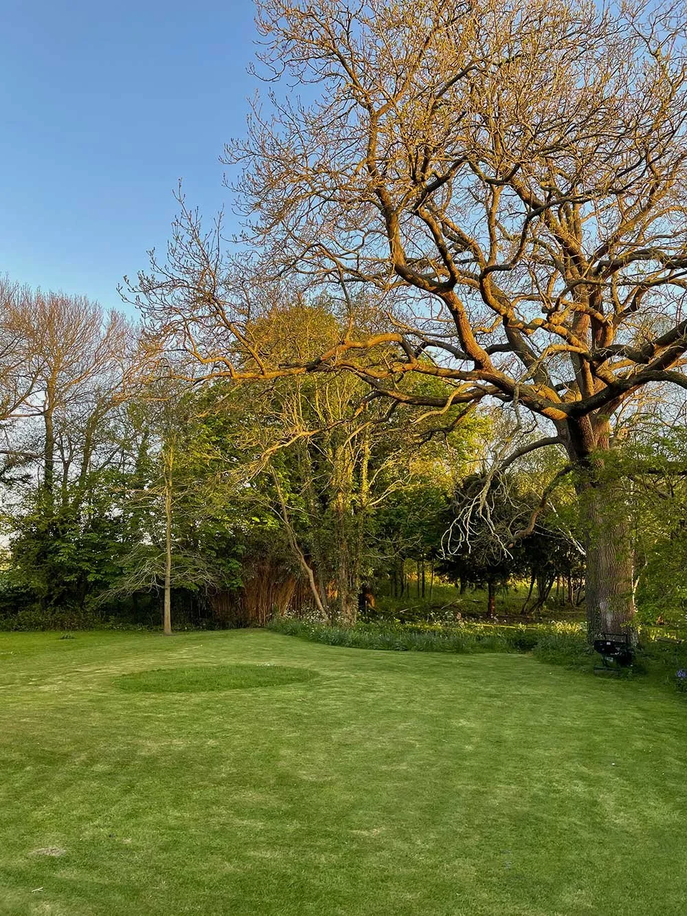 Lawn Cutting & Edging