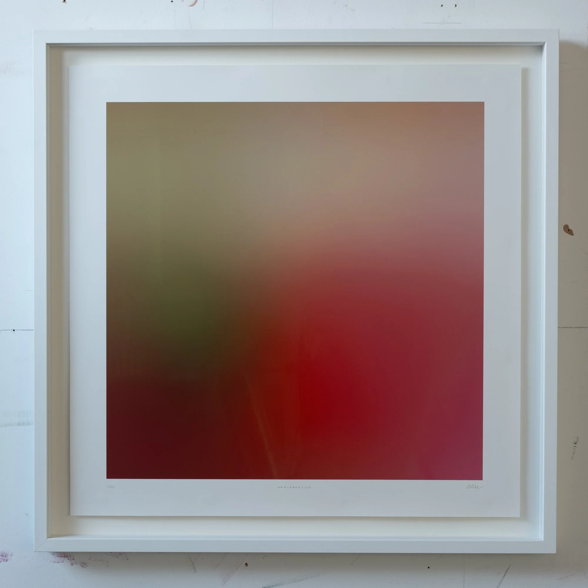 amalgamation_framed.jpg